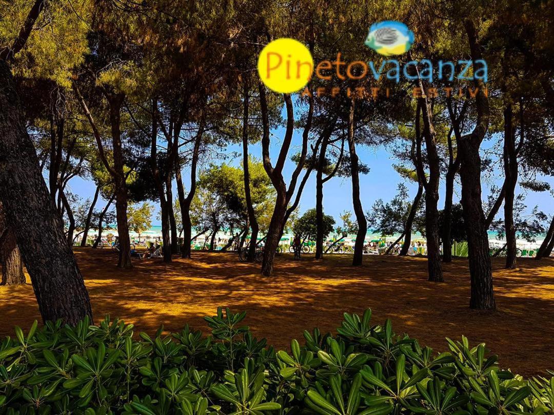 Myconos C2 - Pineto Vacanza Exterior foto